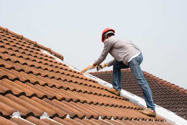 Best Emergency Roof Repair Services  in Piperton, TN