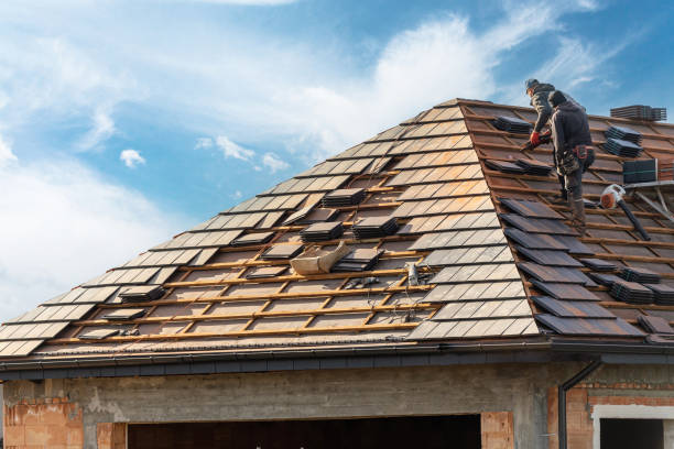 Best Skylight Installation and Repair  in Piperton, TN